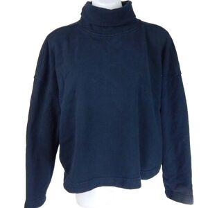 Everlane Organic Cotton Turtleneck Sweatshirt